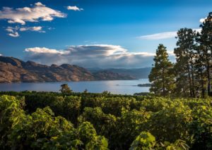 Valley view of Okanagan Lake surrounded by vineyards, forests, and mountains on a sunny day