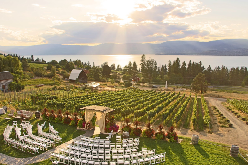a wedding ceremony setup at Summerhill Pyramid Winery in Kelowna, overlooking the vineyard and lake