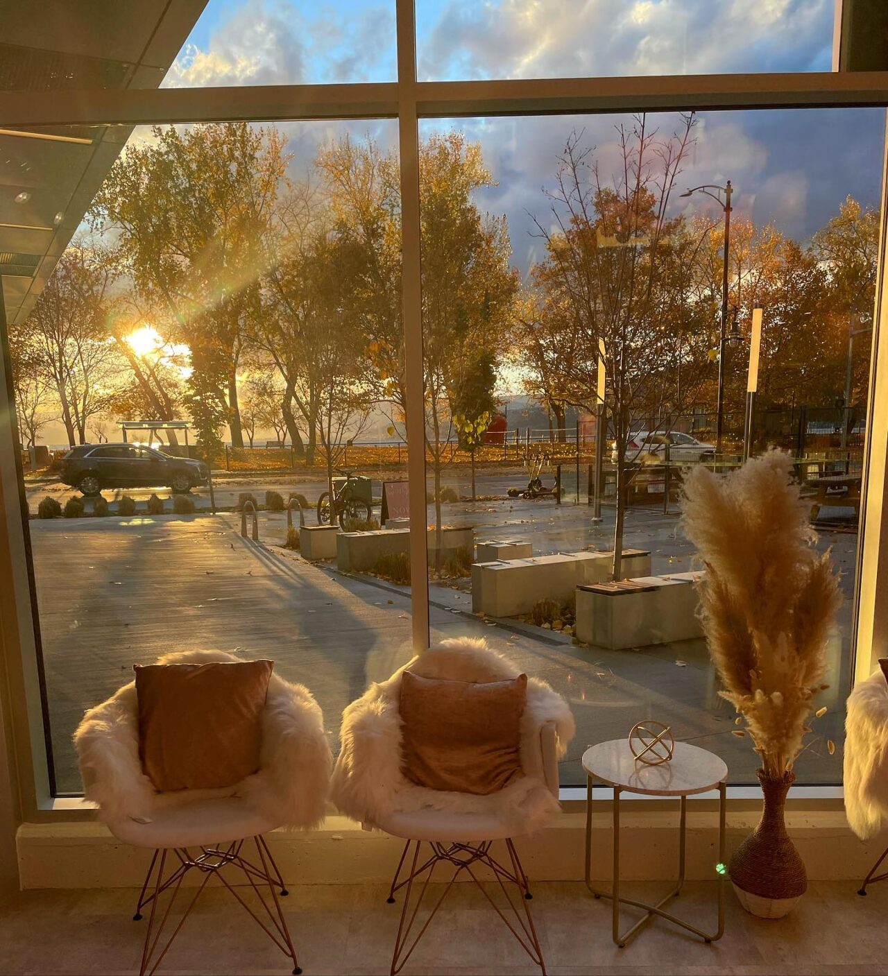 two chairs and pompass grass, backlit in sunlight coming through the front window at The Sweet Spot Beauty Bar, a self-care spot in the same building as The Shore Kelowna