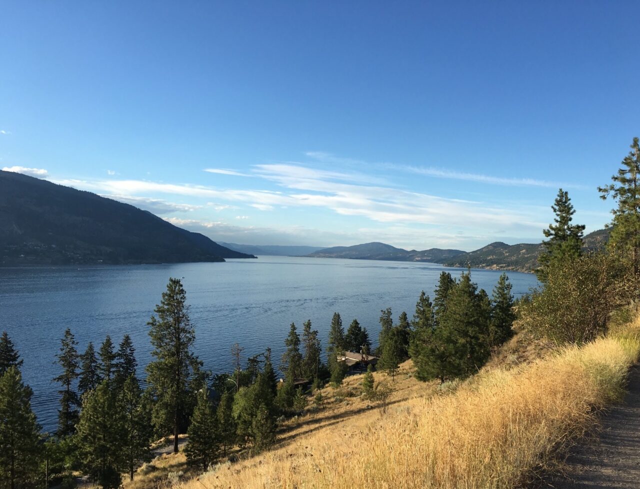 Picture of Okanagan Lake as seen from Knox Mountain with yellow grass and trees in the foreground, the lake in midground and mountains in the background under a blue sky.