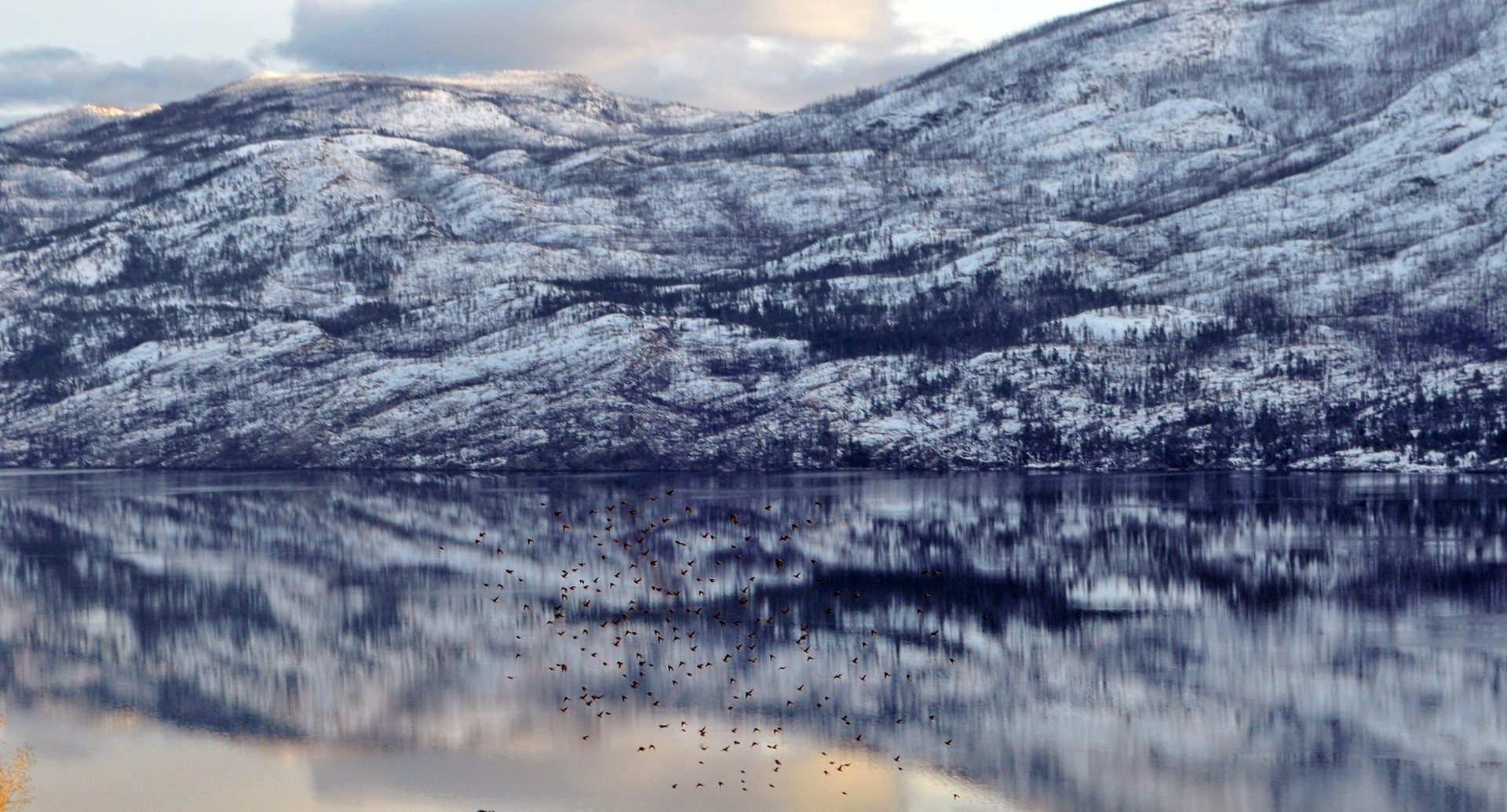 Mountain and lake view of Kelowna after a light snowfall, with birds flying over the lake, highlighting Kelowna snowbirds at The Shore