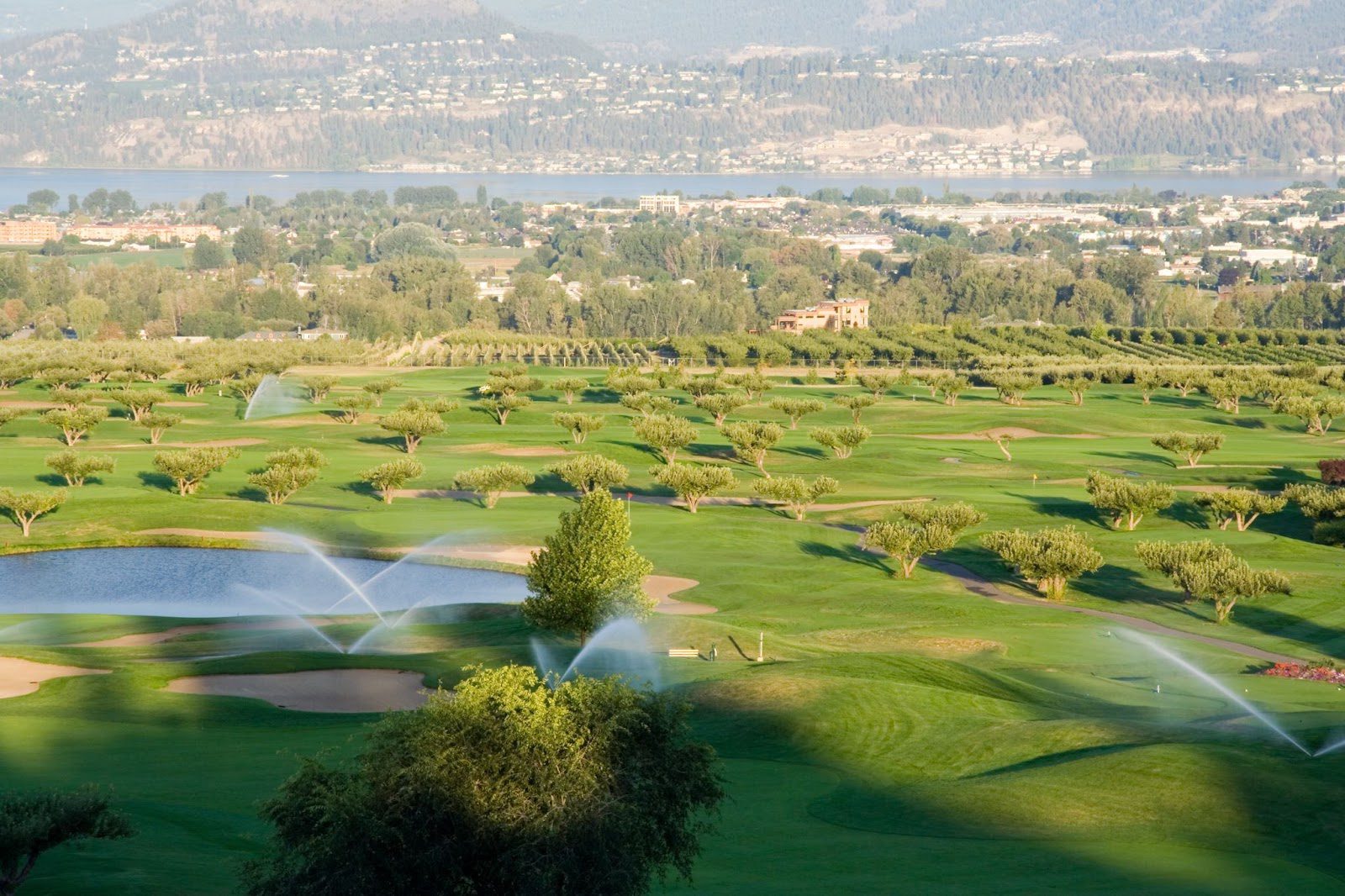 valley view of one of the best golf courses in Kelowna, with sprinklers over greens on a sunny day and the lake in the background