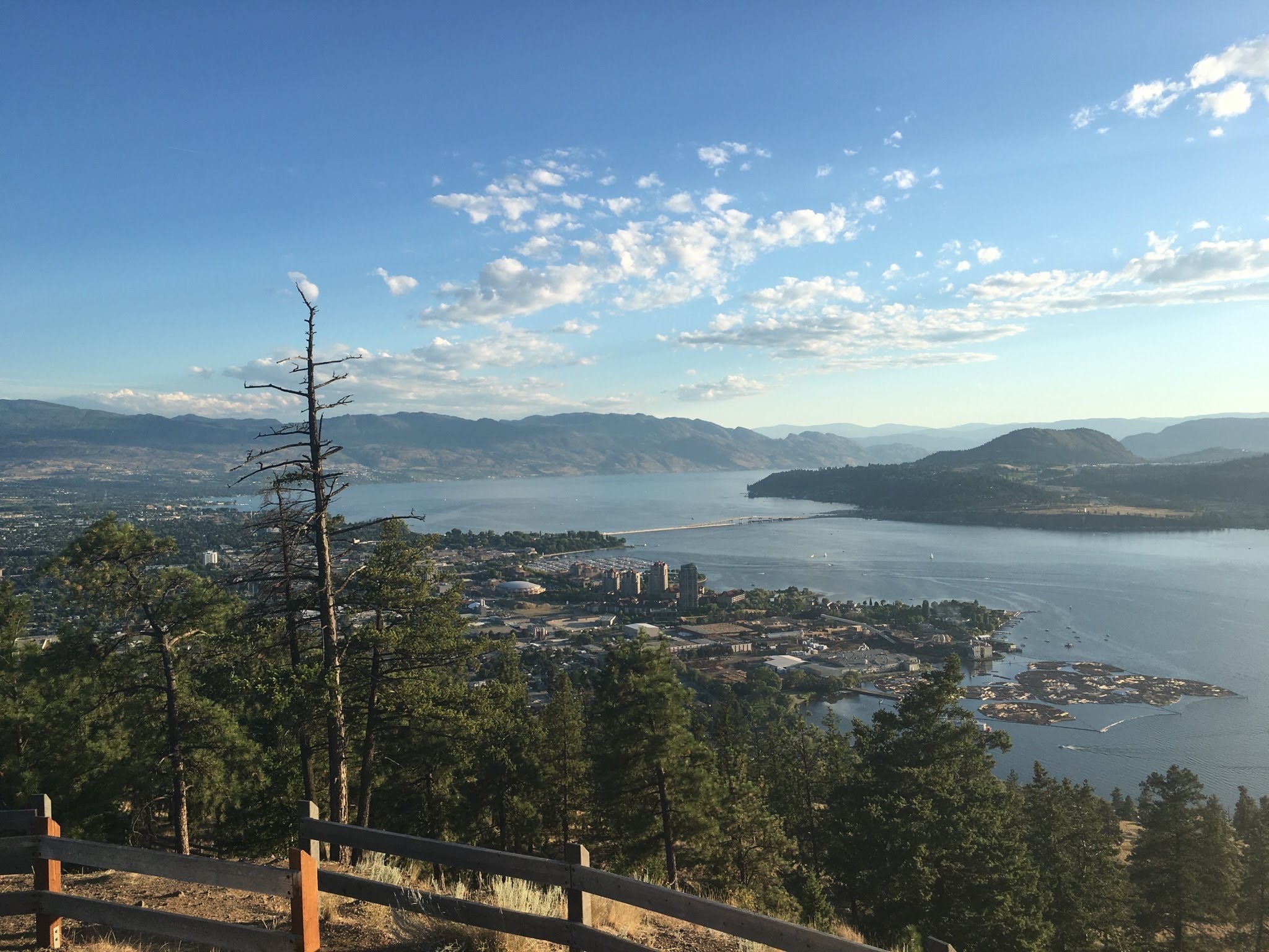View of downtown Kelowna from Knox Mountain. Threes and a short fence in the foreground with a city view, Okanagan Lake and a bridge in the background under a blue sky with some clouds.